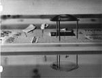 BARANEK_1c[3]
