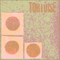 album Tortoise