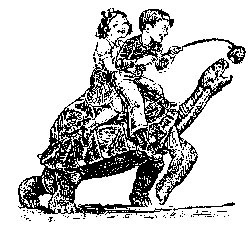 On the Tortoise